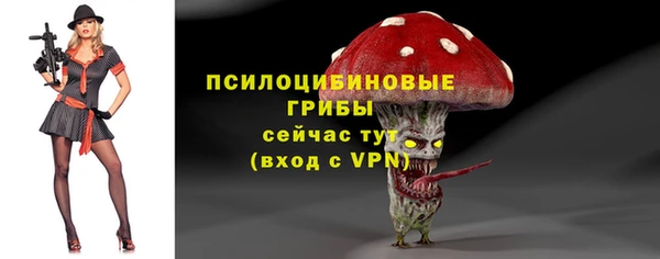 СК Заводоуковск