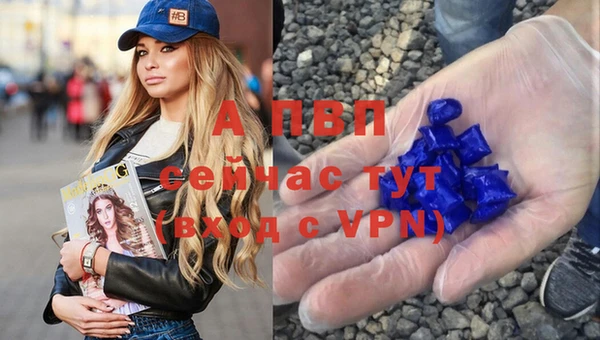 СК Заводоуковск