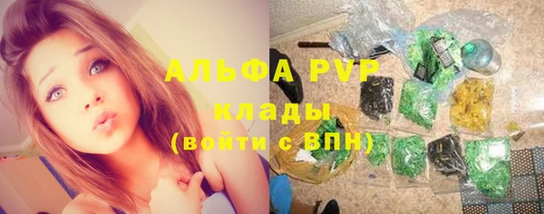 СК Заводоуковск